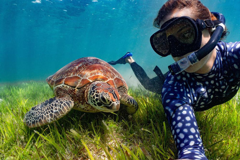 بهترین مقاصد اسنورکلینگ جهان