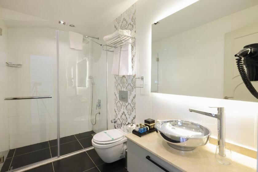 Orka Taksim Suites & Hotel istanbul - room