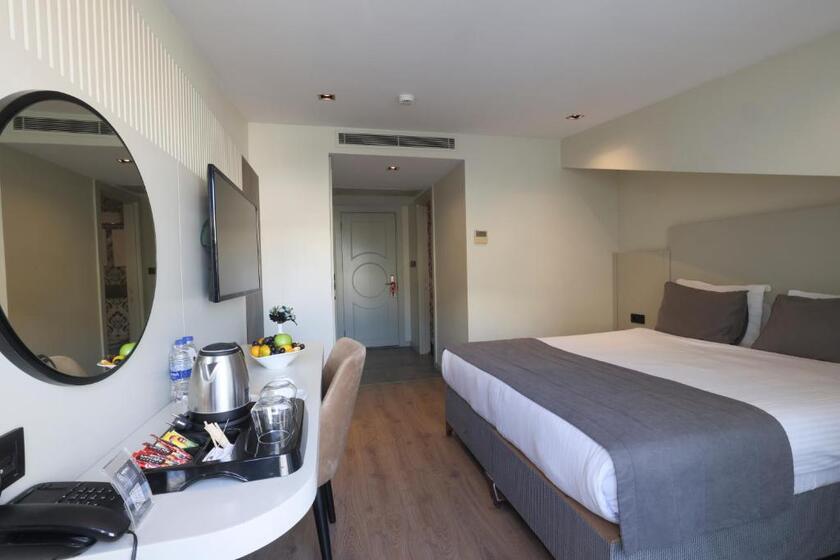 Orka Taksim Suites & Hotel istanbul - room
