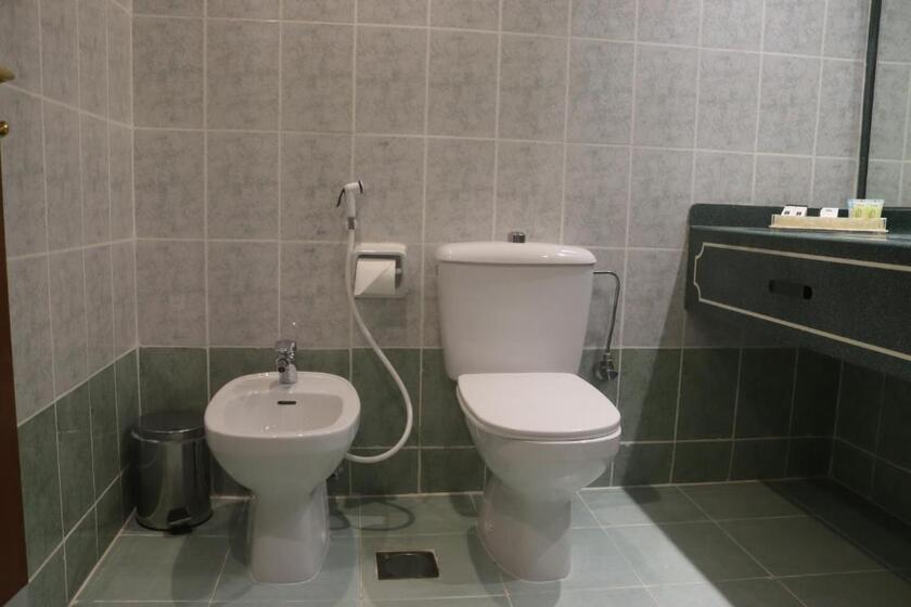 GSS Avenue Hotel EX Delmon Hotel dubai - Deluxe Double Room