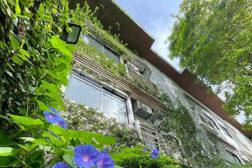 Ideo Phuket Hotel Phuket - facade