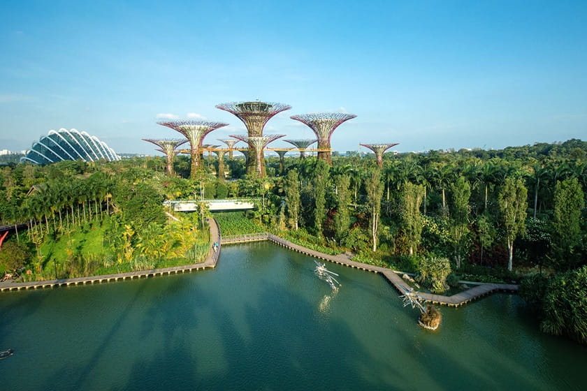 نمایی از باغ خلیج سنگاپور. منبع عکس: Gardensbythebay. عکاس: نامشخص