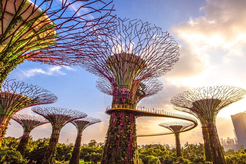 درختان غولپیکر در جنگل ابر باغ خلیج سنگاپور. منبع عکس: Gardensbythebay. عکاس: نامشخص