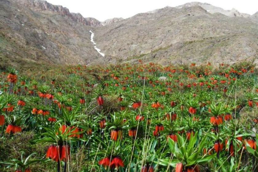 گلستان‌کوه بازگشایی می‌شود
