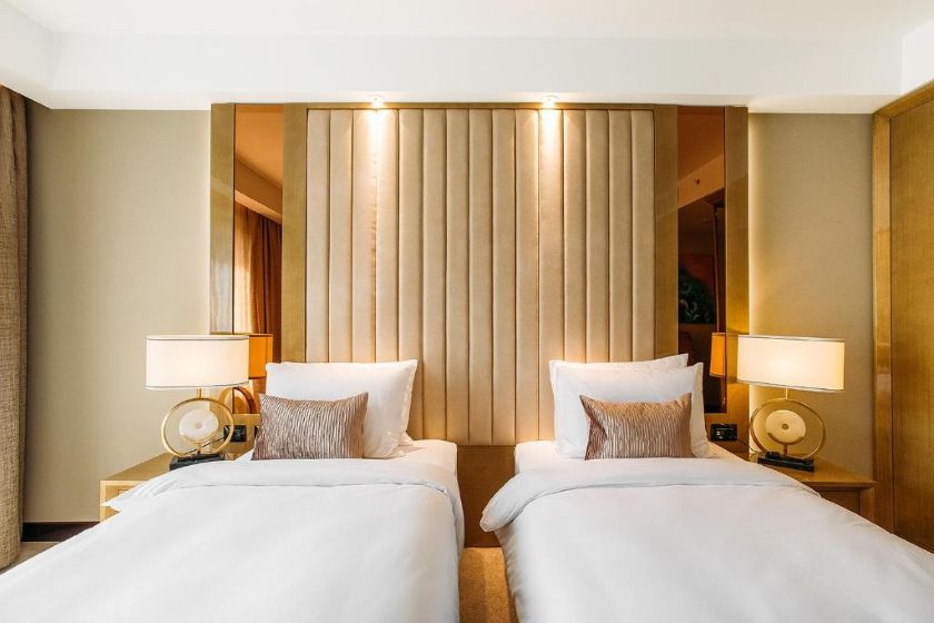 Marjan Plaza Hotel Tbilisi - Deluxe Twin Room