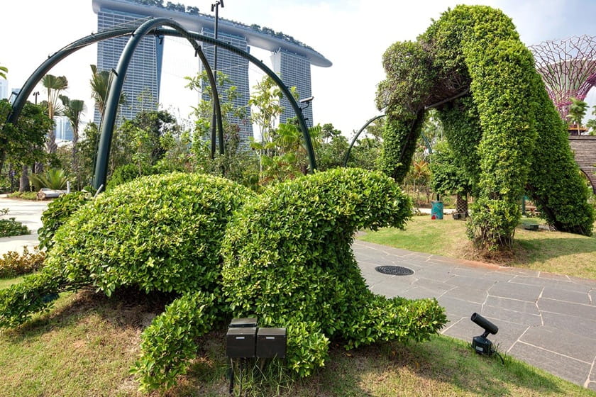 دنیای گیاهان در باغ خلیج سنگاپور. منبع عکس: Gardensbythebay. عکاس: نامشخص