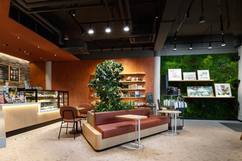 کافه استارباکس در باغ طلایی مجموعه باغ خلیج سنگاپور. منبع عکس: Gardensbythebay. عکاس: نامشخص