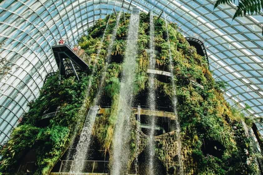 آبشار جنگل ابر. منبع عکس: Gardensbythebay. عکاس: نامشخص