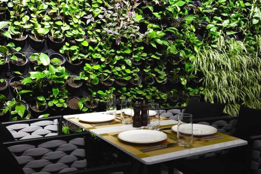 Marjan Plaza Hotel Tbilisi - Terrace