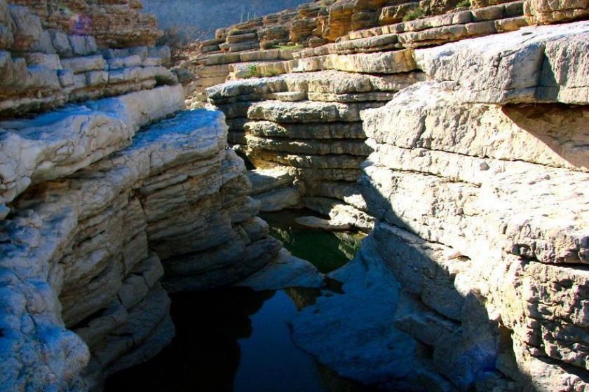 کول خرسان
