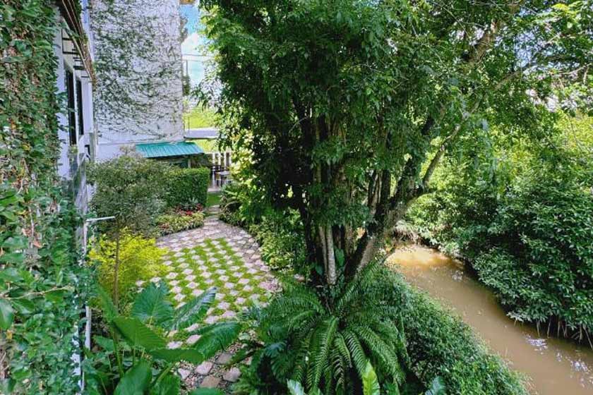 Ideo Phuket Hotel Phuket - garden