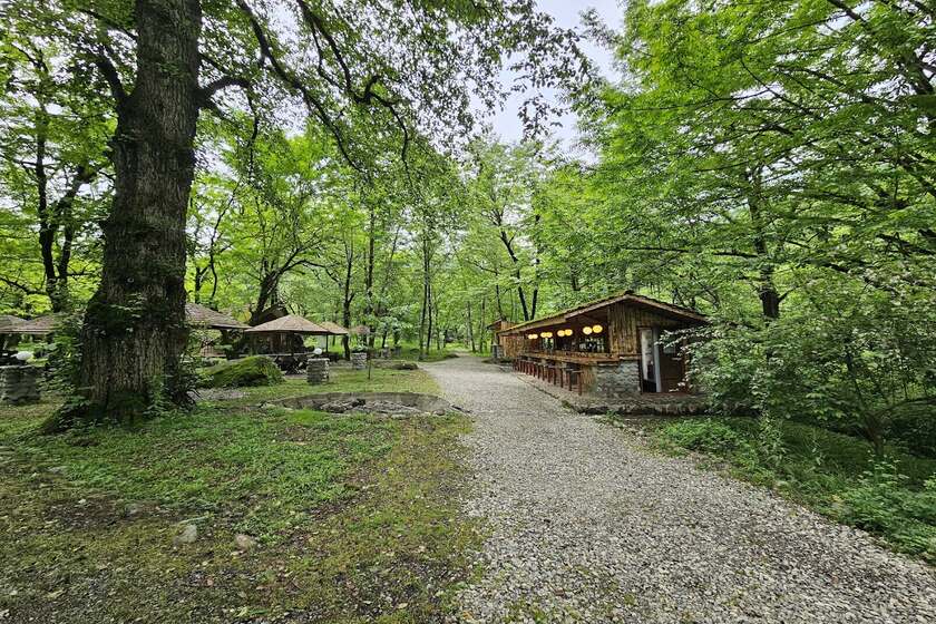 هتل‌ های جنگلی شمال ایران