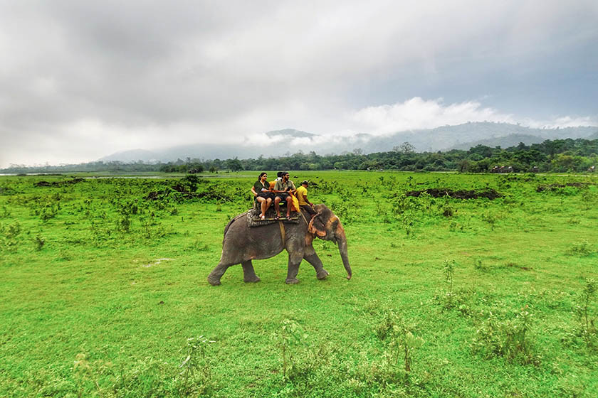 پارک ملی کازیرانگا (Kaziranga National Park)، منبع عکس: گوگل مپ، عکاس:Abhijan Chakrabarti