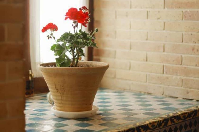 هتل خانه سنتی والاد شیراز - اتاق دبل شاباجی