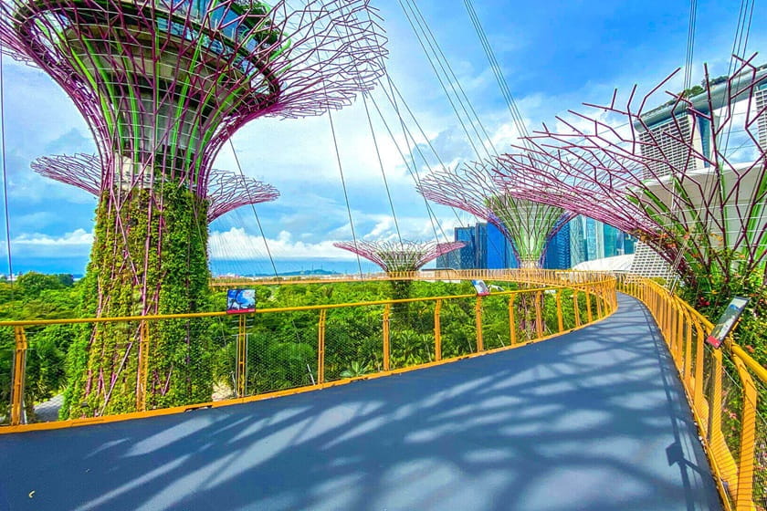 پل هوایی اوسیبیسی. منبع عکس: Gardensbythebay. عکاس: نامشخص