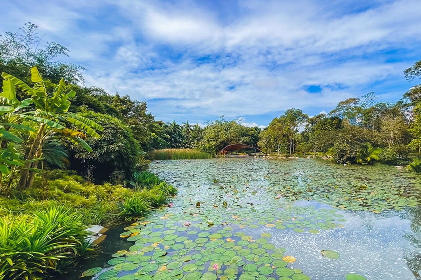 تالاب مرغ ماهیخوار. منبع عکس: Gardensbythebay. عکاس: نامشخص