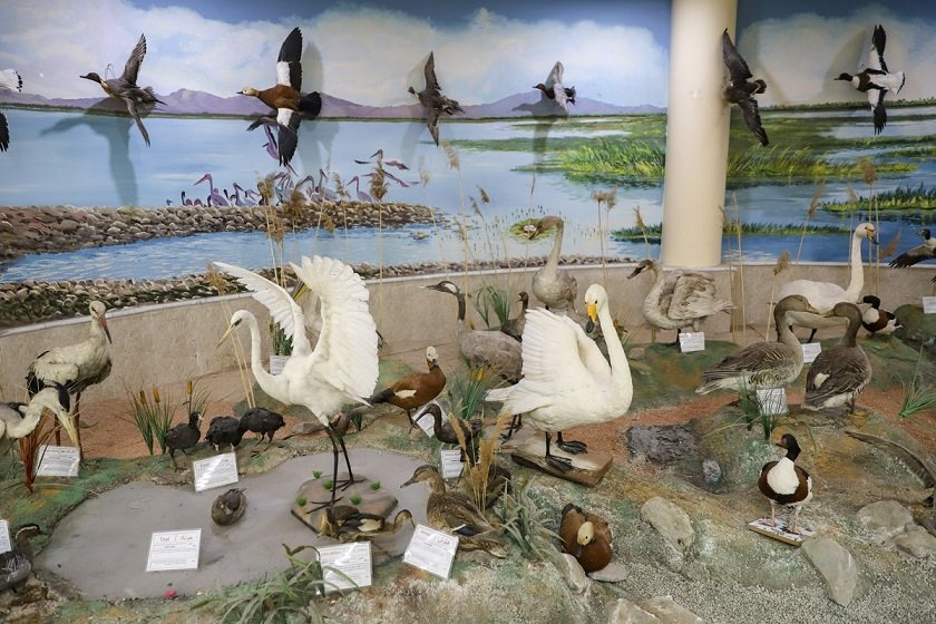 بازدید‍ نوروزی بیش از ۵٬۵۰۰ نفر از موزه تاریخ طبیعی ارومیه 