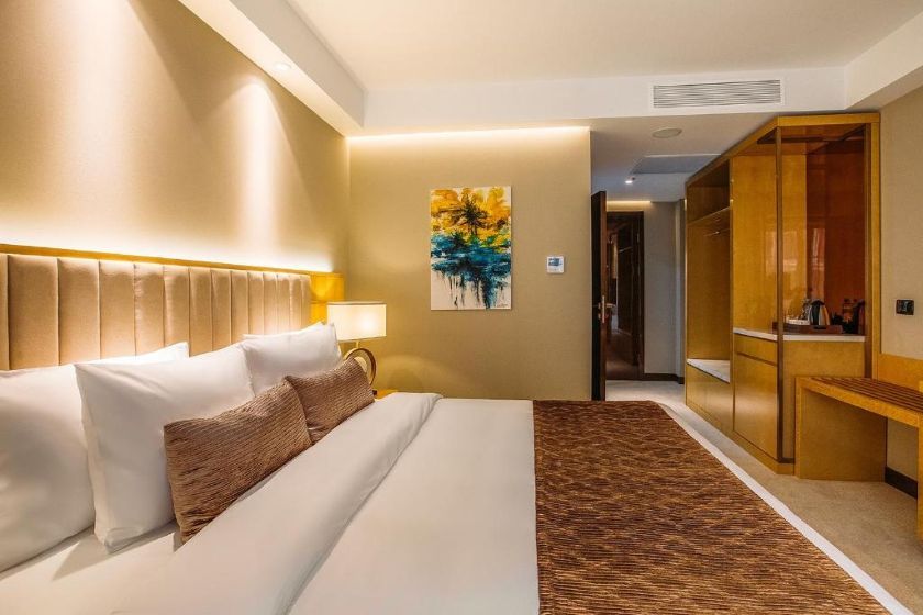 Marjan Plaza Hotel Tbilisi - Standard Double Room