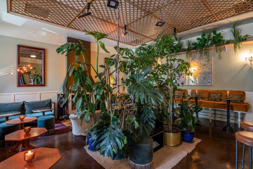 Communal Hotel Plekhanovi Tbilisi - lobby