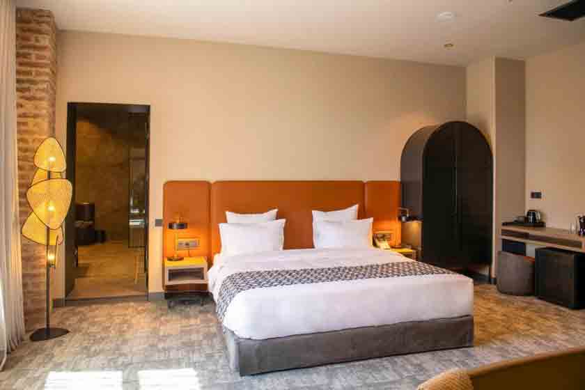 Qarvasla Hotel Tbilisi - Deluxe Double or Twin Room