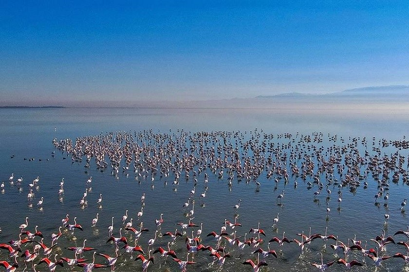 نیمی از تالاب میانکاله خشک شد