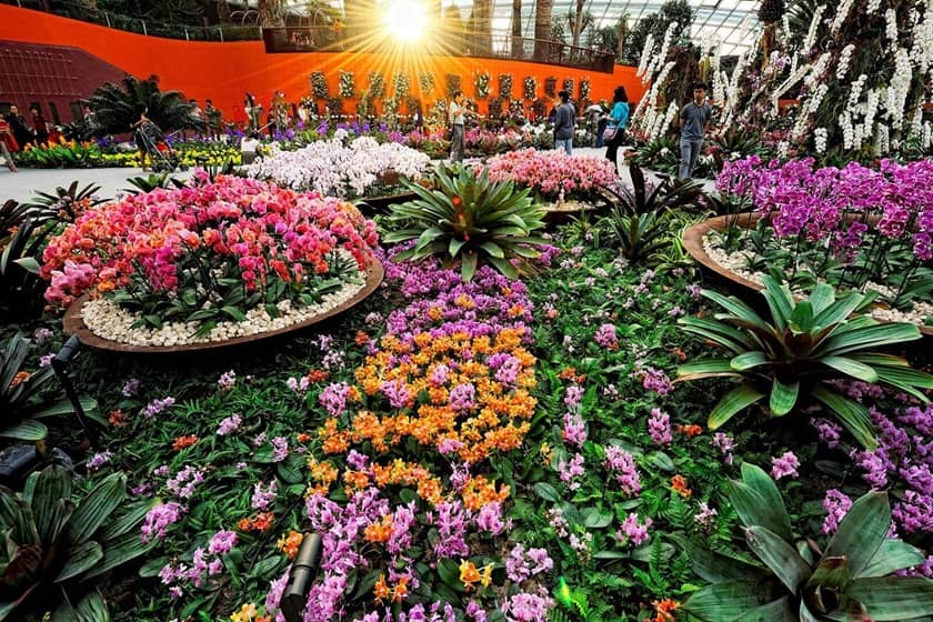 نمایی از گلخانه گنبد گلها. منبع عکس: Gardensbythebay. عکاس: نامشخص