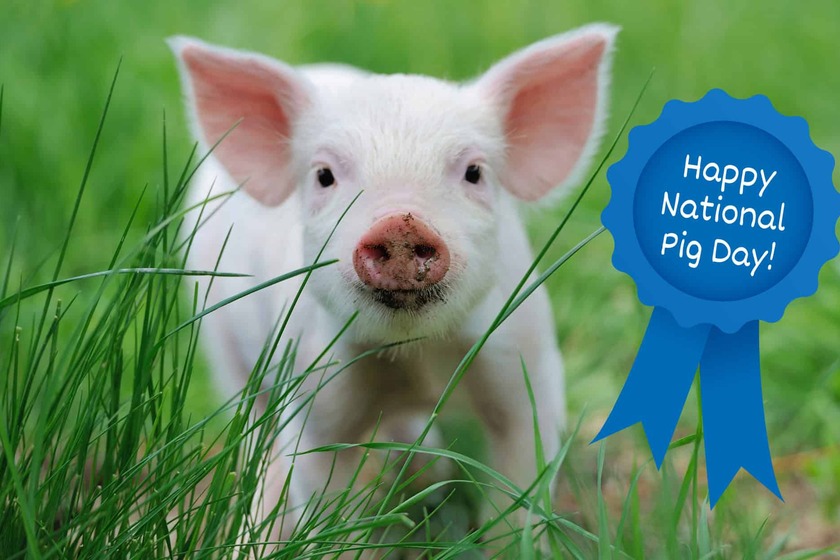 روزشمار؛ ۱۱ اسفند ماه ۱۴۰۳