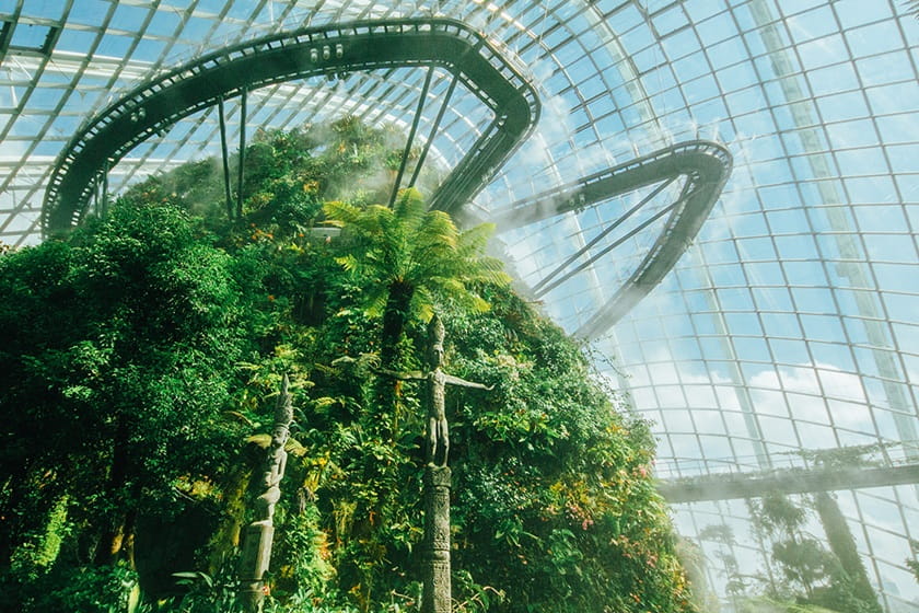 مسیر پیادهروی در امتداد کوه کریستالی. منبع عکس: Gardensbythebay. عکاس: نامشخص