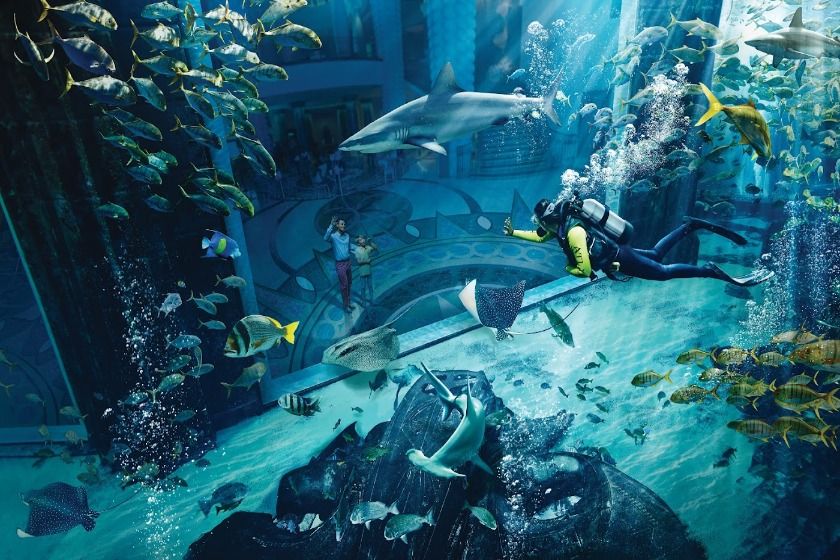 آکواریوم لاست چمبرز. منبع عکس: گوگل‌مپ. عکاس: The Lost Chambers Aquarium