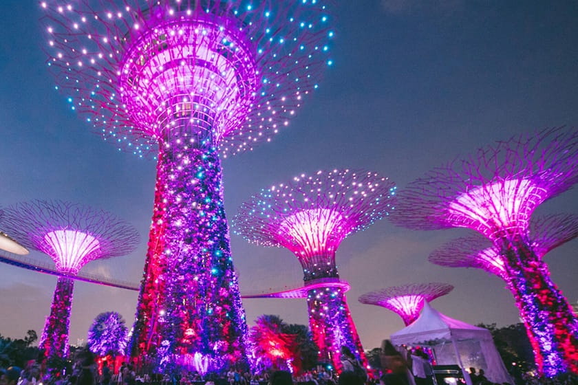 نمایش نور و موسیقی در درختان غولپیکر. منبع عکس: Gardensbythebay. عکاس: نامشخص