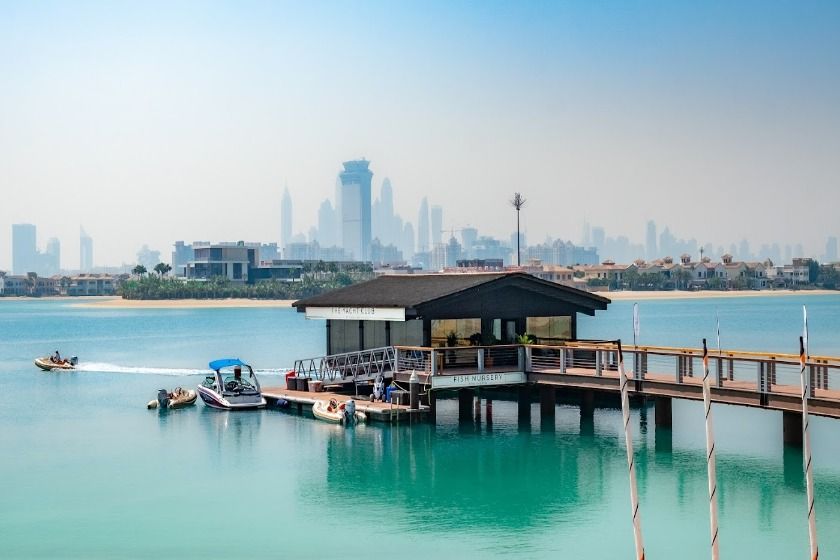 قایقرانی در نخل جمیرا. منبع عکس: گوگل‌مپ. عکاس: Seamocean