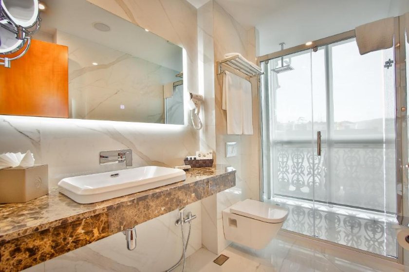 New Tiflis Hotel Tbilisi - Standard Twin Room
