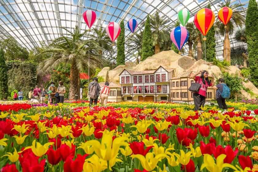 سرزمین گلها. منبع عکس: Gardensbythebay. عکاس: نامشخص