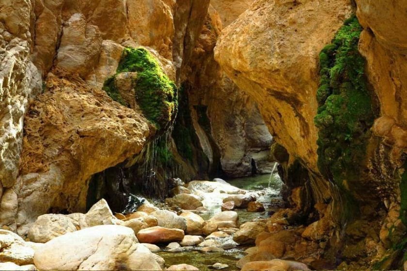 چشمه آبگرم مرتضی علی 