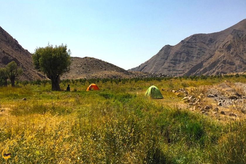 دشت هویج و روستای افجه. منبع عکس: گوگل مپ. عکاس: نامشخص