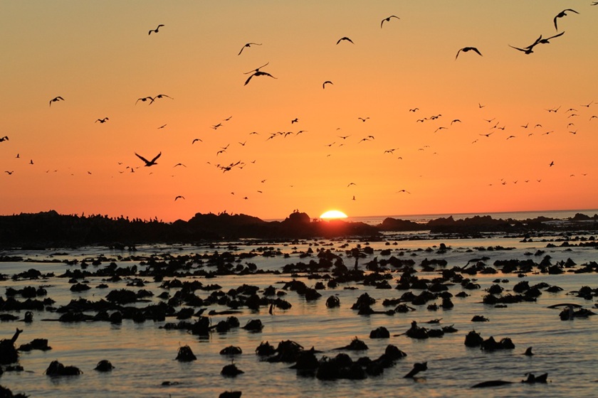 روزشمار؛ ۲۰ اردیبهشت ماه ۱۴۰۴