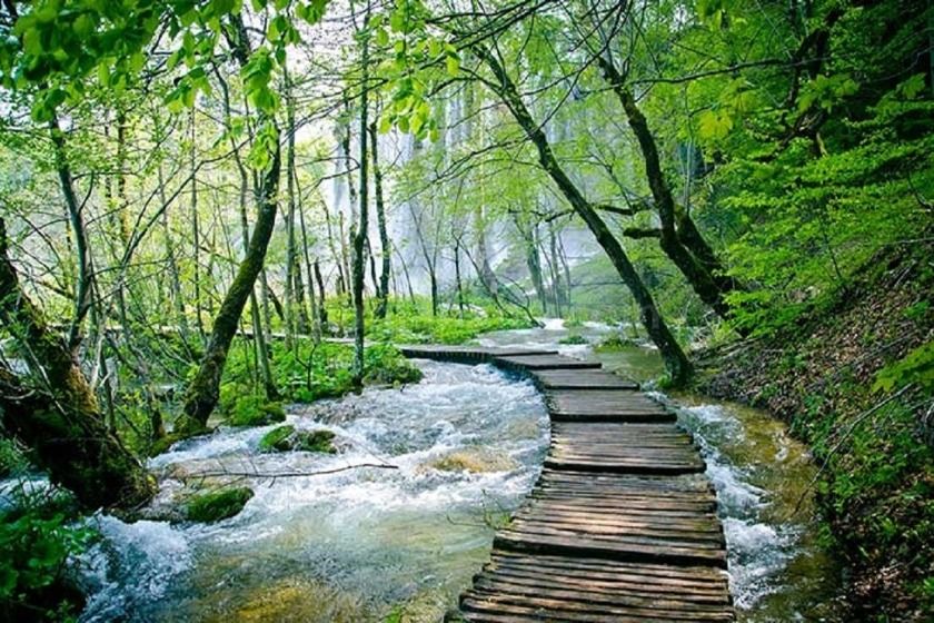 پارک جنگلی النگ دره. منبع عکس: باشگاه خبرنگاران جوان. عکاس: نامشخص