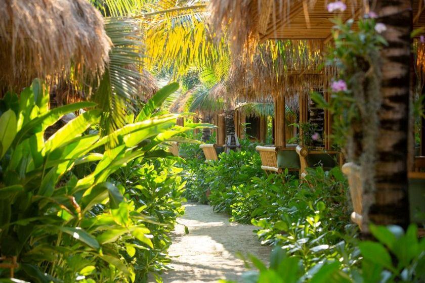 Phi Phi CoCo Beach Resort Phuket - garden