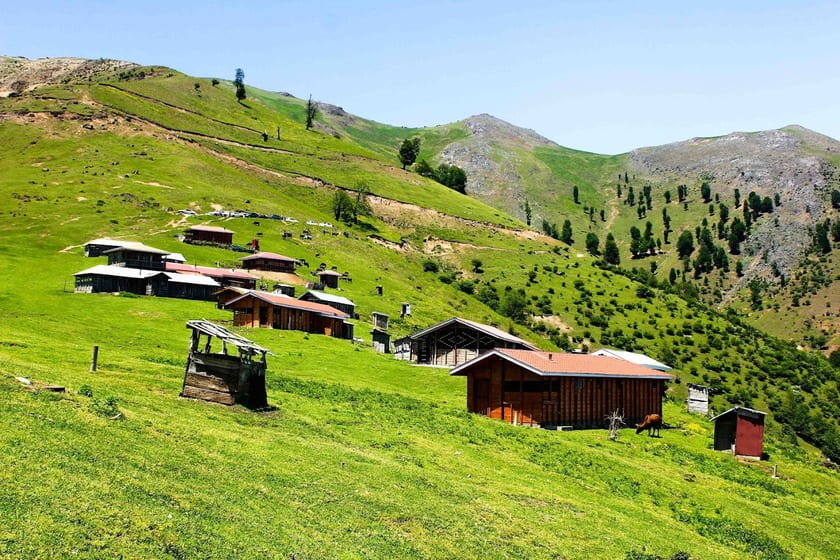 ییلاق سوئه چاله