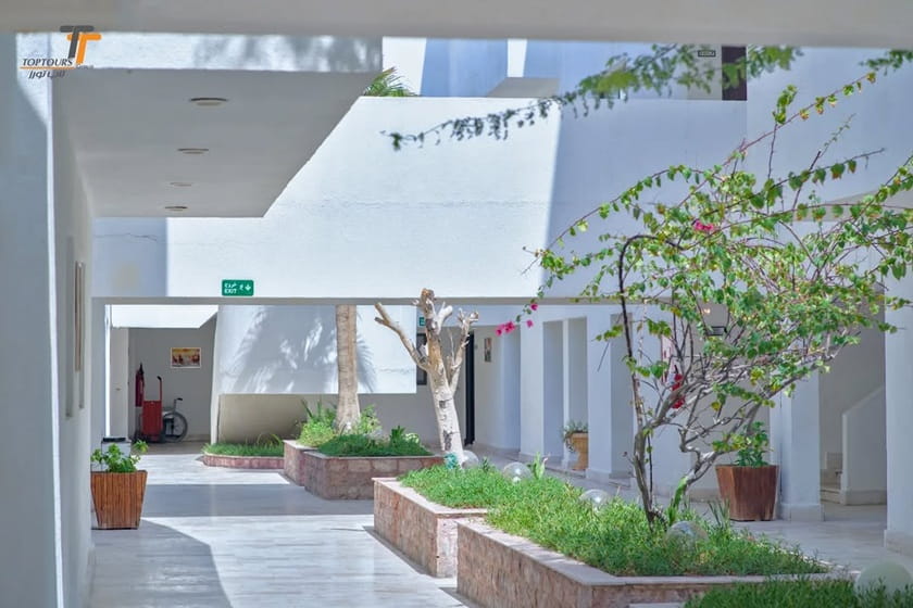 فضای سبز هتل آبادگران کیش. منبع: صفحه اینستاگرام Abadgaranhotel. عکاس: نامشخص