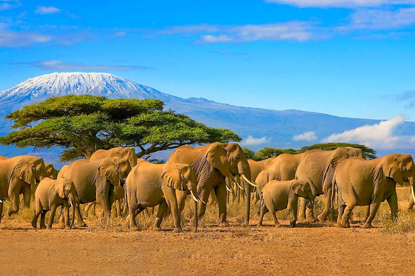 روزشمار؛ ۴ خرداد ماه ۱۴۰۴