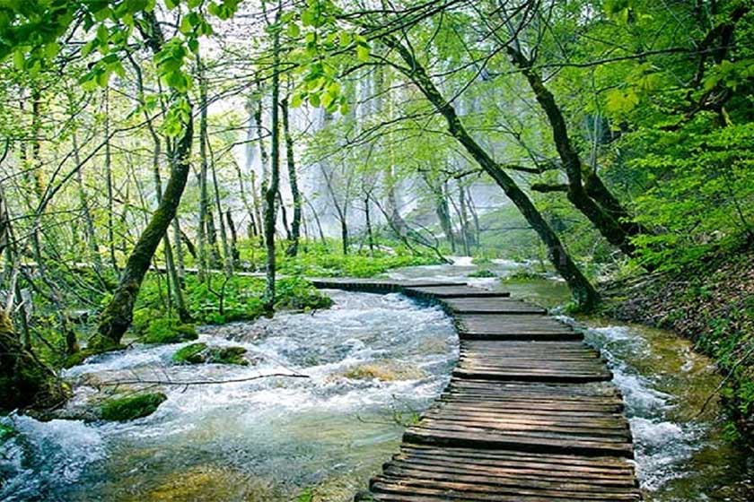 پارک جنگلی النگدره کجاست؟