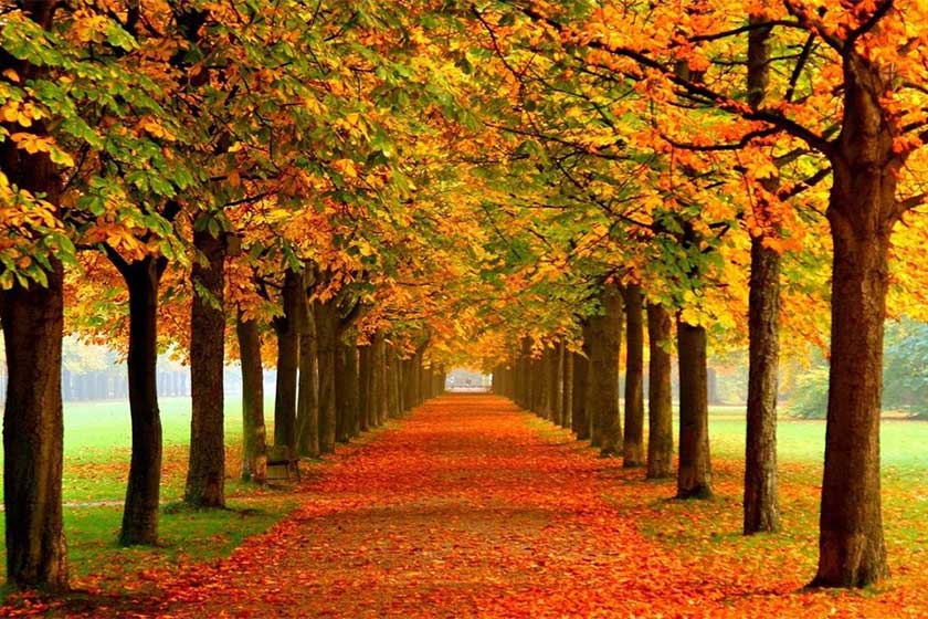 تجهیزات مورد نیاز برای سفر به پارک جنگلی النگدره