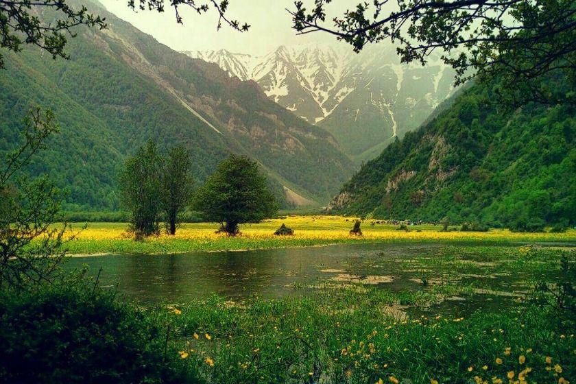 دشت دریاسر