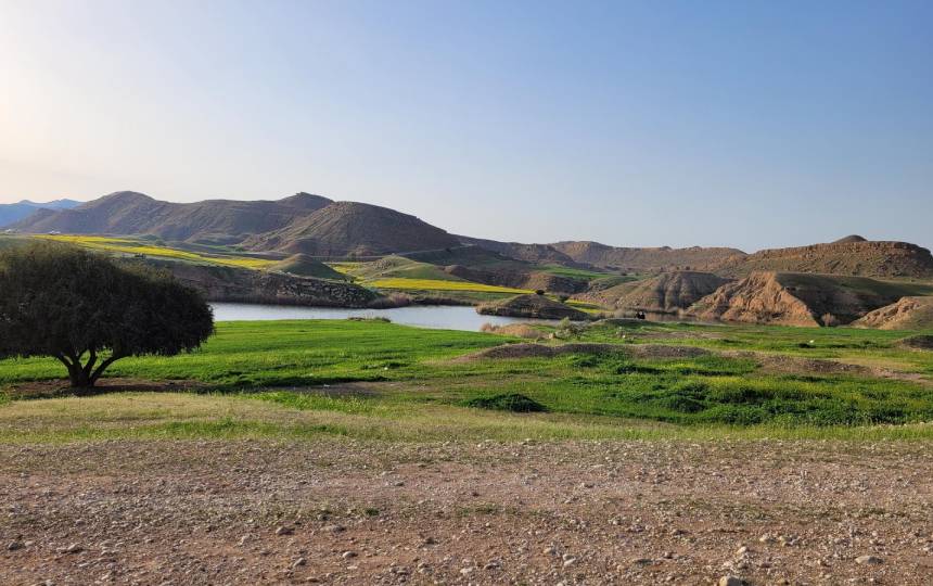 صوفی احمد 