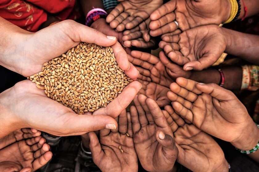 روز احسان و نیکوکاری
