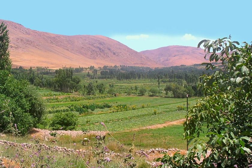 روستای وونایی