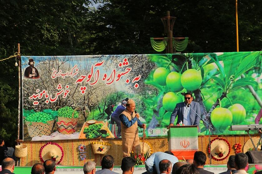 چهارمین جشنواره ملی «آلوچه» در گوراب زرمیخ صومعه سرا