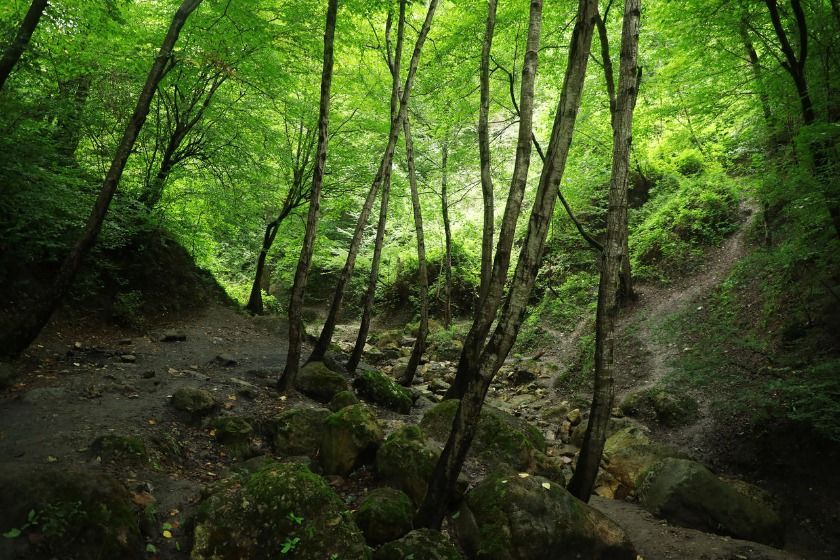 پارک جنگلی خانیکان