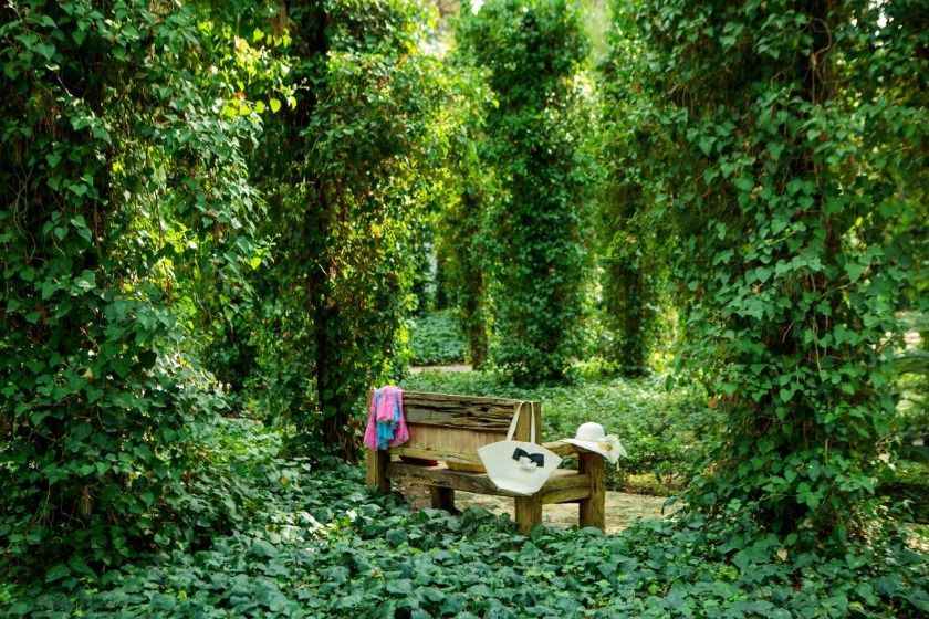 Baia Salima Kemer - garden